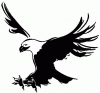 blacknocturnal