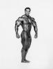 Levrone's Clone