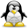 bodylinux