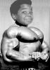 Arnold (quellonero)