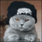 Avatar di Elinox
