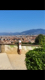 Avatar di chianella