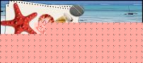 Click image for larger version

Name:	sda_agosto_2.jpg
Views:	1
Size:	77.7 KB
ID:	15919768