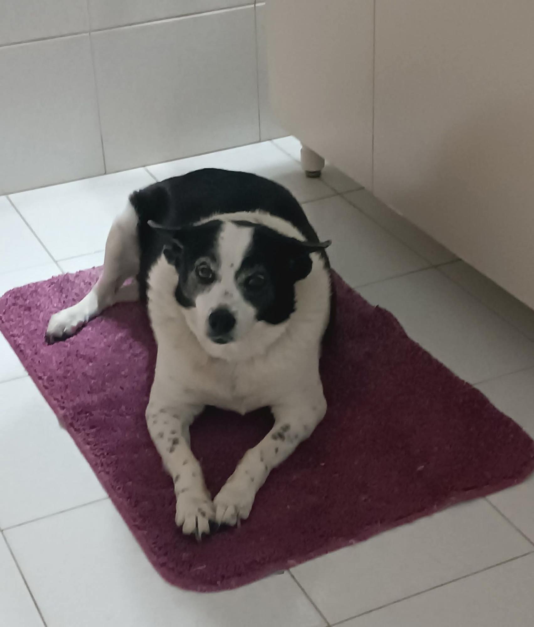 Click image for larger version  Name:	535114877_24258917613771044_803824220299100046_n.jpg Views:	0 Size:	141.5 KB ID:	16354504