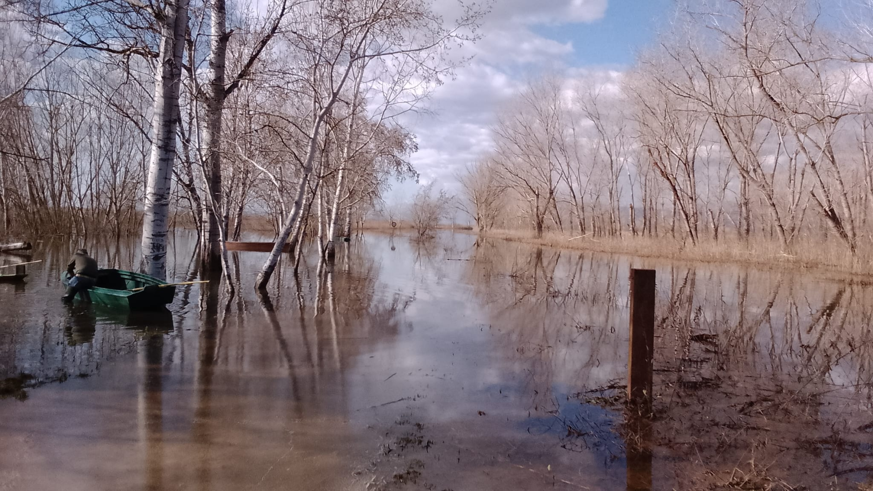 Click image for larger version

Name:	immagine.png
Views:	161
Size:	2.50 MB
ID:	16363277