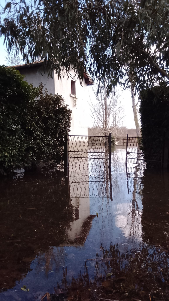 Click image for larger version

Name:	immagine.png
Views:	144
Size:	996.1 KB
ID:	16363279