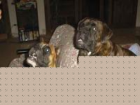 Click image for larger version

Name:	bingoegas.jpg
Views:	449
Size:	15.1 KB
ID:	15833730