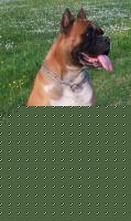 Click image for larger version

Name:	p0000053.jpg
Views:	63
Size:	17.9 KB
ID:	15833735