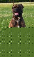 Click image for larger version

Name:	p0000058.jpg
Views:	69
Size:	15.2 KB
ID:	15833736