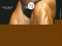 Click image for larger version

Name:	branchquadlg2.jpg
Views:	675
Size:	42.1 KB
ID:	15833923