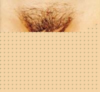 Click image for larger version

Name:	pod10.jpg
Views:	186
Size:	19.9 KB
ID:	15834019