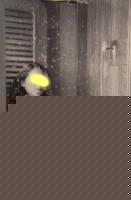 Click image for larger version

Name:	francesca.jpg
Views:	128
Size:	10.4 KB
ID:	15834299