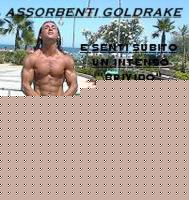 Click image for larger version

Name:	assorbenti2.jpg
Views:	130
Size:	45.1 KB
ID:	15834353