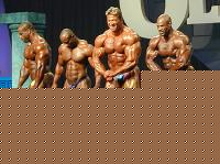 Click image for larger version

Name:	posedown1.jpg
Views:	106
Size:	40.5 KB
ID:	15834415