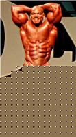 Click image for larger version

Name:	flexsolo.jpg
Views:	227
Size:	48.5 KB
ID:	15834460