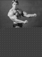 Click image for larger version

Name:	arnoldschwarzenegger216.jpg
Views:	2762
Size:	28.5 KB
ID:	15834514