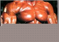 Click image for larger version

Name:	image1.jpg
Views:	500
Size:	10.0 KB
ID:	15834533