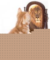 Click image for larger version

Name:	cat-lion.jpg
Views:	153
Size:	12.6 KB
ID:	15834570