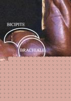 Click image for larger version

Name:	arm.jpg
Views:	787
Size:	74.5 KB
ID:	15834903