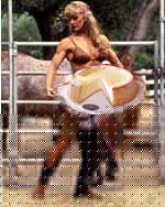 Click image for larger version

Name:	cowtort.jpg
Views:	233
Size:	6.8 KB
ID:	15835045