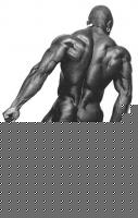 Click image for larger version

Name:	sean2.jpg
Views:	650
Size:	34.8 KB
ID:	15835108