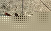 Click image for larger version

Name:	image3.jpg
Views:	380
Size:	129.7 KB
ID:	15835966