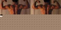 Click image for larger version

Name:	schiena3-2003feb.jpg
Views:	394
Size:	110.5 KB
ID:	15836528