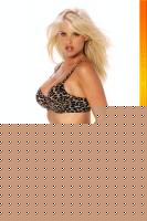 Click image for larger version

Name:	lh6t2106.jpg
Views:	123
Size:	58.7 KB
ID:	15836852