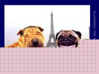 Click image for larger version

Name:	pierchirac.jpg
Views:	370
Size:	62.1 KB
ID:	15836943