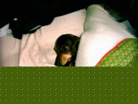 Click image for larger version

Name:	immagine036.jpg
Views:	295
Size:	73.9 KB
ID:	15837935