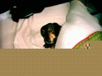 Click image for larger version

Name:	immagine037.jpg
Views:	61
Size:	73.2 KB
ID:	15837941
