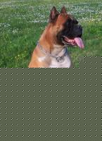 Click image for larger version

Name:	p0000053.jpg
Views:	116
Size:	89.0 KB
ID:	15837952