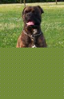 Click image for larger version

Name:	p0000058.jpg
Views:	868
Size:	66.7 KB
ID:	15837953