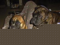 Click image for larger version

Name:	bingo gas ok2.jpg
Views:	112
Size:	130.2 KB
ID:	15837954