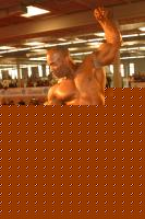 Click image for larger version

Name:	darrem-expo-stage.jpg
Views:	515
Size:	113.6 KB
ID:	15838073