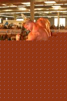 Click image for larger version

Name:	jay-expo-stage.jpg
Views:	485
Size:	116.2 KB
ID:	15838081