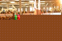 Click image for larger version

Name:	kim-handstand-expo.jpg
Views:	477
Size:	72.4 KB
ID:	15838084