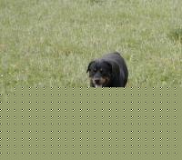 Click image for larger version

Name:	dscn1134.jpg
Views:	322
Size:	45.4 KB
ID:	15838143