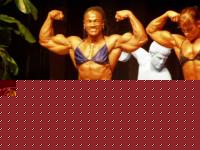 Click image for larger version

Name:	p1010192.jpg
Views:	780
Size:	33.7 KB
ID:	15838146