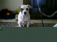 Click image for larger version

Name:	cimg0003.jpg
Views:	297
Size:	116.4 KB
ID:	15838217