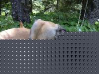 Click image for larger version

Name:	dscn0025.jpg
Views:	255
Size:	75.6 KB
ID:	15838219