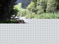 Click image for larger version

Name:	dscn0024.jpg
Views:	87
Size:	88.2 KB
ID:	15838220