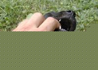 Click image for larger version

Name:	immagine 106.jpg
Views:	159
Size:	65.6 KB
ID:	15838243