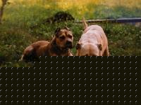 Click image for larger version

Name:	aut_0010.jpg
Views:	163
Size:	46.9 KB
ID:	15838302