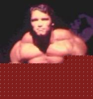 Click image for larger version

Name:	arni3.jpg
Views:	615
Size:	8.9 KB
ID:	15838502