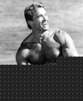 Click image for larger version

Name:	arnold30.jpg
Views:	764
Size:	18.1 KB
ID:	15838513