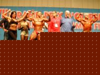 Click image for larger version

Name:	immagine 073.jpg
Views:	632
Size:	59.3 KB
ID:	15838532