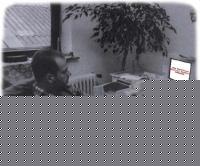 Click image for larger version

Name:	2437manfred2.jpg
Views:	684
Size:	55.5 KB
ID:	15838559