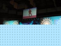 Click image for larger version

Name:	duetorri 4.jpg
Views:	837
Size:	185.6 KB
ID:	15838820