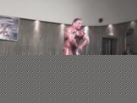 Click image for larger version

Name:	Fitness Festival Catania 2004 077.jpg
Views:	177
Size:	58.4 KB
ID:	15839477